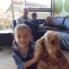 alisonharvey434